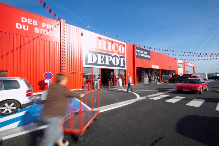 Brico depot flins sur seine