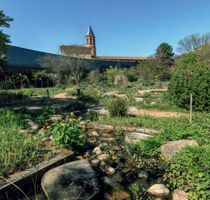 Toulouse plantes jardin