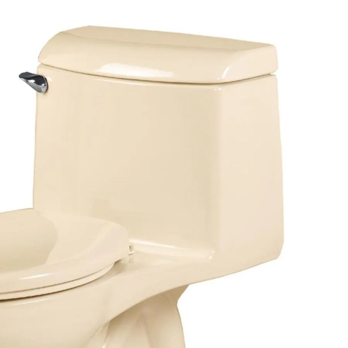 Toilet lid tank standard american champion bone lowes cover