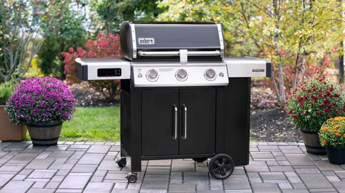 Weber barbecue gasgrill barbecuemania grille gbs