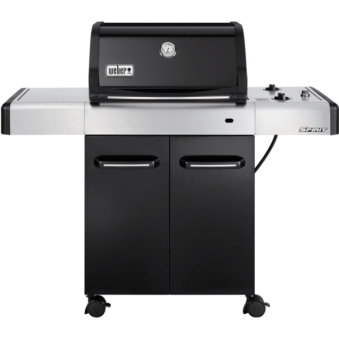 Barbecue weber pas cher