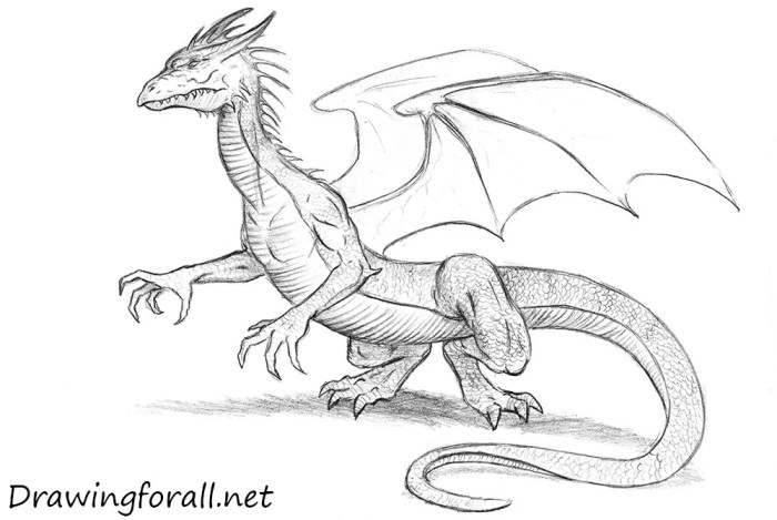 Dragon flying sketch drawing easy clipartmag draw dragons flight