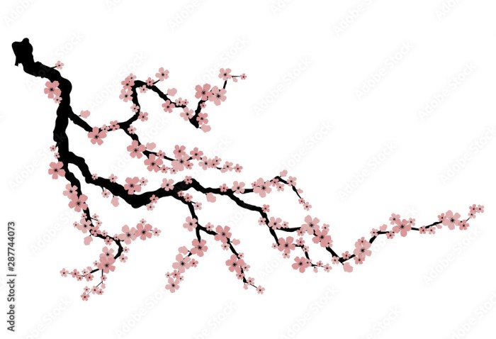 Blossom cherry tree drawing pencil easy simple flower sakura branch sketch blossoms draw drawings color sketches painting paintingvalley tan paper