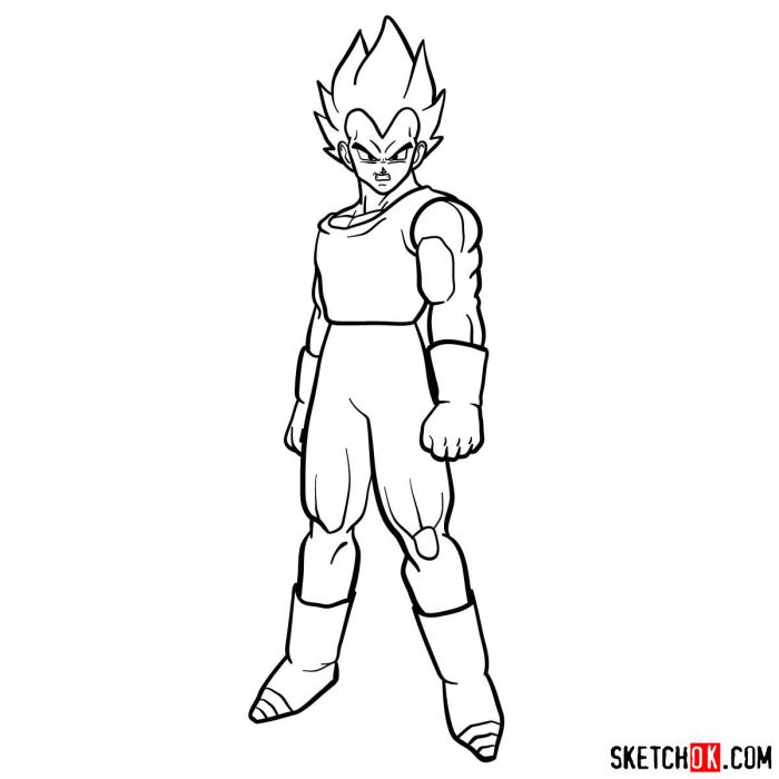 Dessin vegeta facile