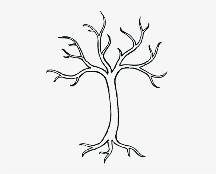 Tree outline leafless bare sketch drawing template paintingvalley basic drawings