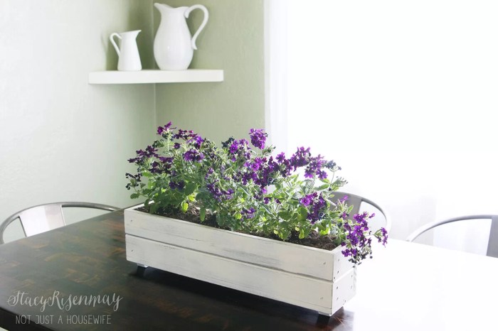 Box window planter boxes build easy diy beginner add ground plans wood do flowers homedit decided bit above level color