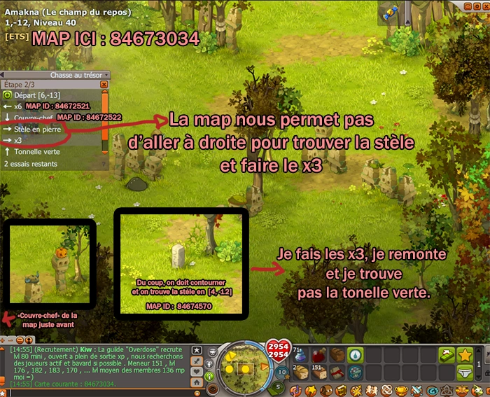 Dofus abris en toile