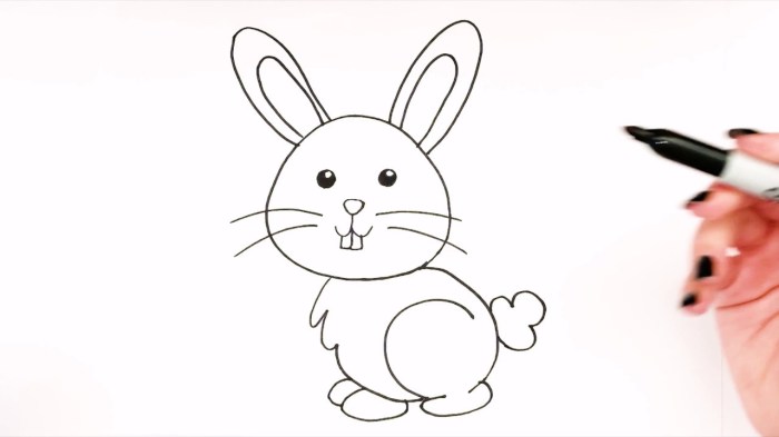 Dessin de lapin facile a faire