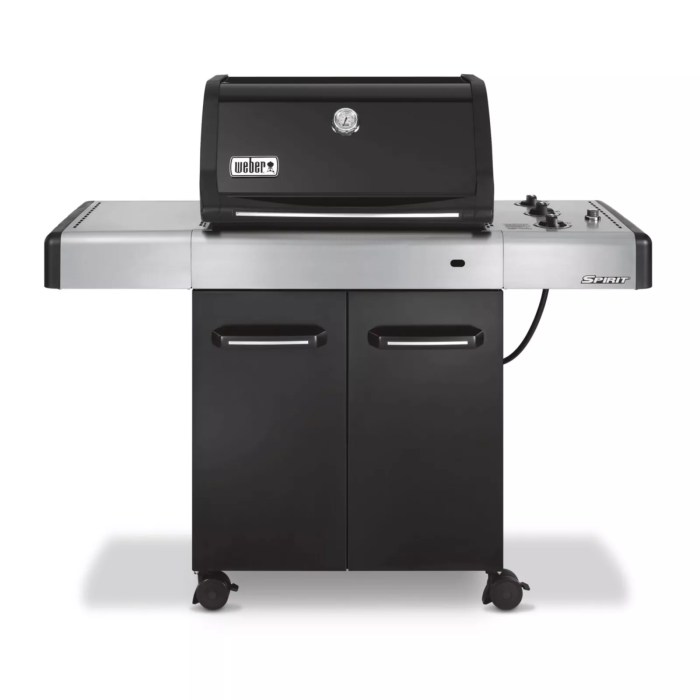 Weber spirit e320 premium