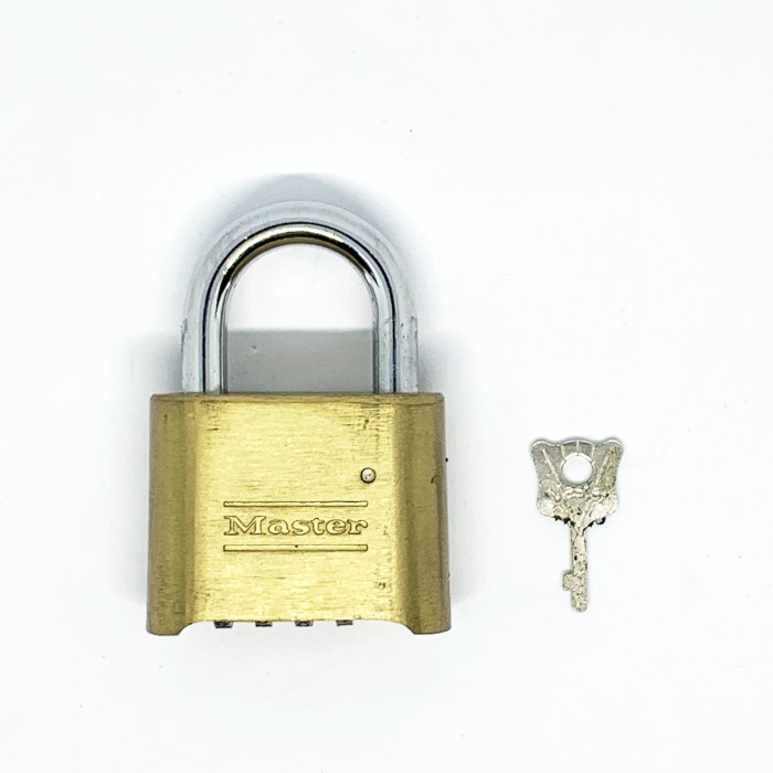 Master lock leroy merlin