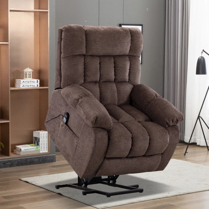 Fauteuil releveur electrique pas cher