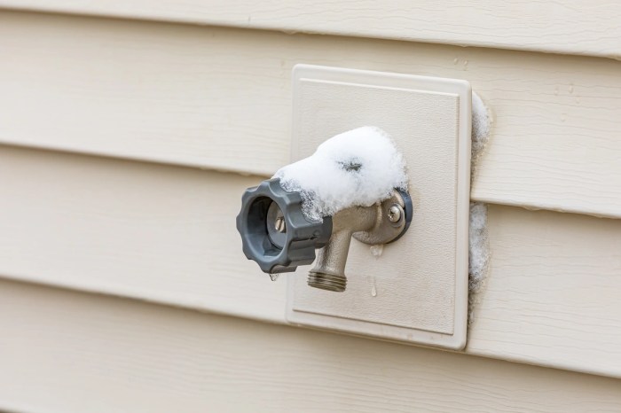 Freezing faucet spigots spruce