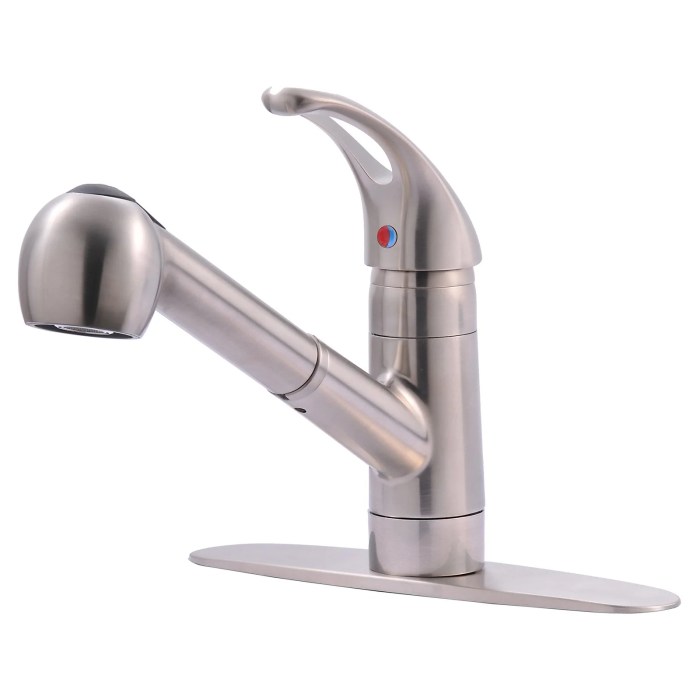 Faucet sprayer faucets stainless soap dispenser closeout