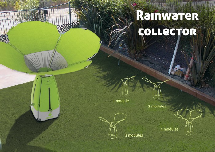 Rainwater collector collectors