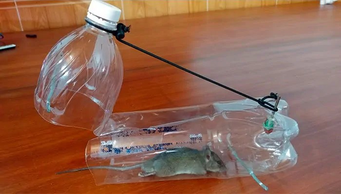 Comment faire un piege a souris avec une bouteille