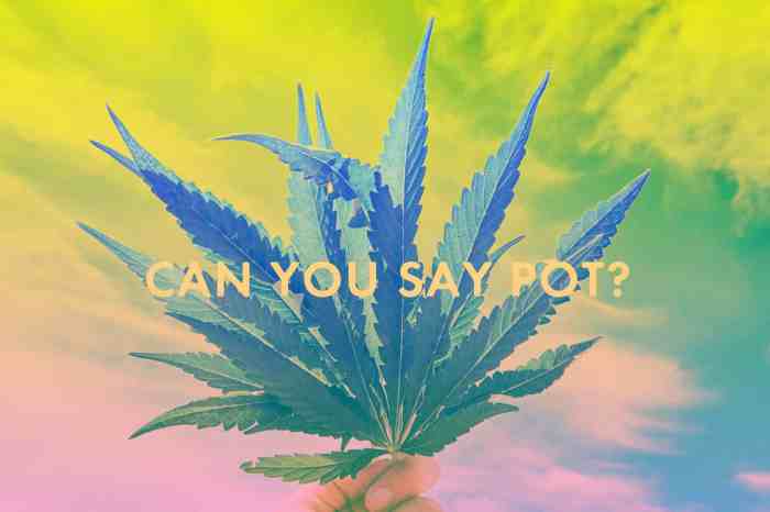 Names marijuana cannabis list time 1200 quiz short