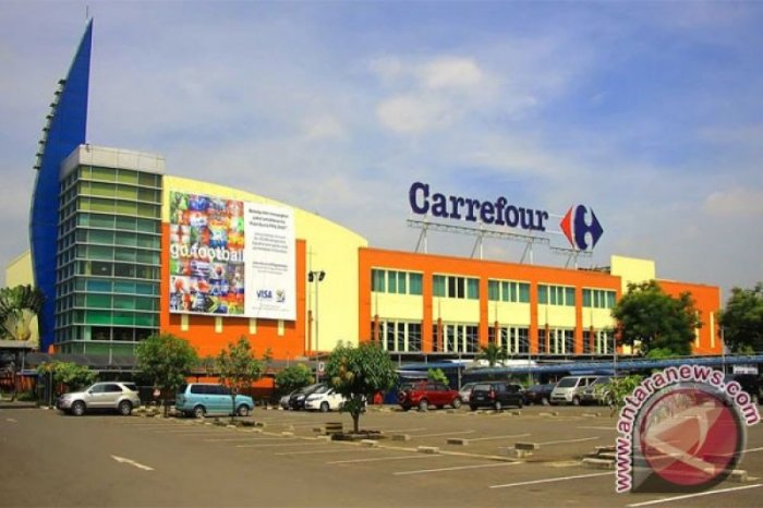 Presse agrume electrique carrefour