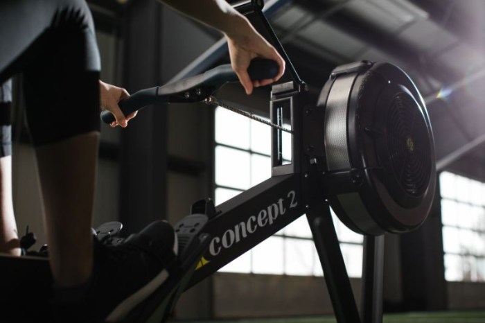 Pm3 rower concept2