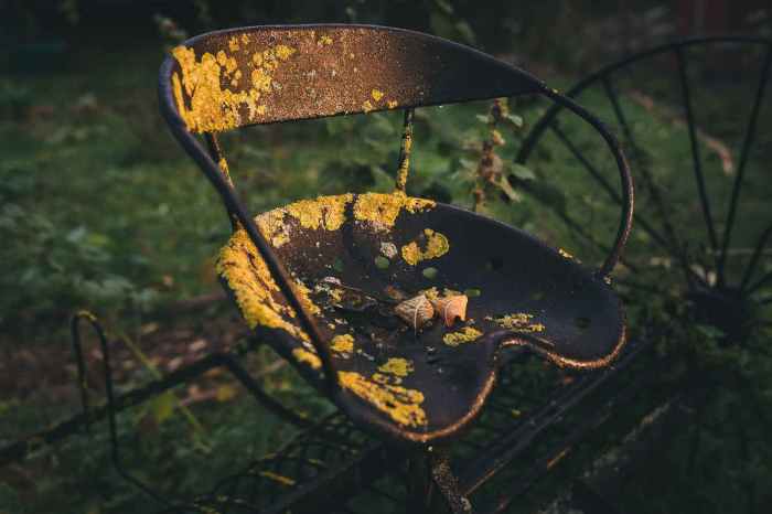 Beaumont calendrier animaux ferme bruno bernaches sens ses