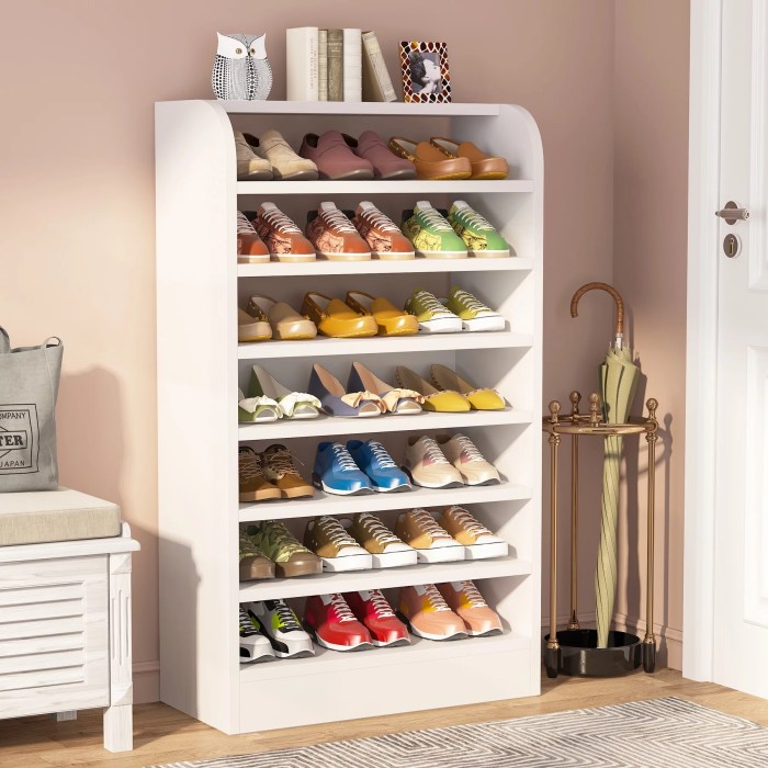 Cabinet storage shoe closet cabinets glass shoes large shelves ideas stylish walk doors display white built chic lighted posh idea