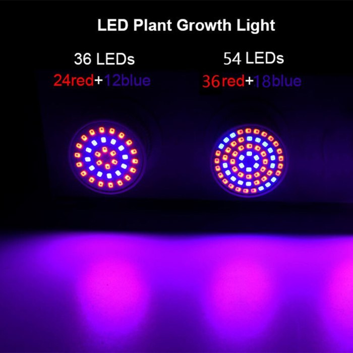 Lampe horticole led bonsai