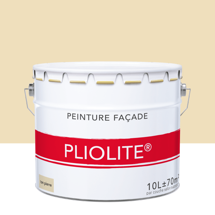 Peinture pliolite leroy merlin