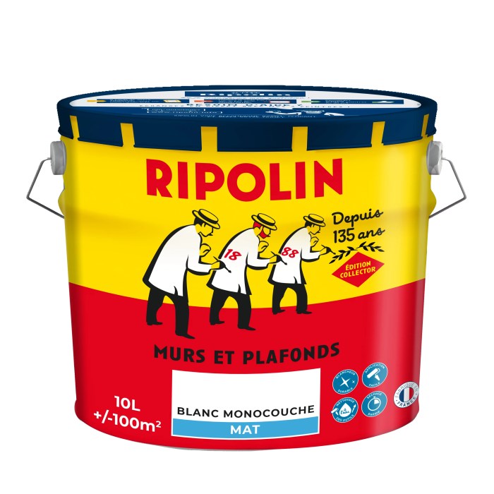 Nuancier luxens merlin leroy ripolin murale castorama ral idees epoxy peintures acrylique baignoire solvant trendmetr canard majorelle gamboahinestrosa truelle coups