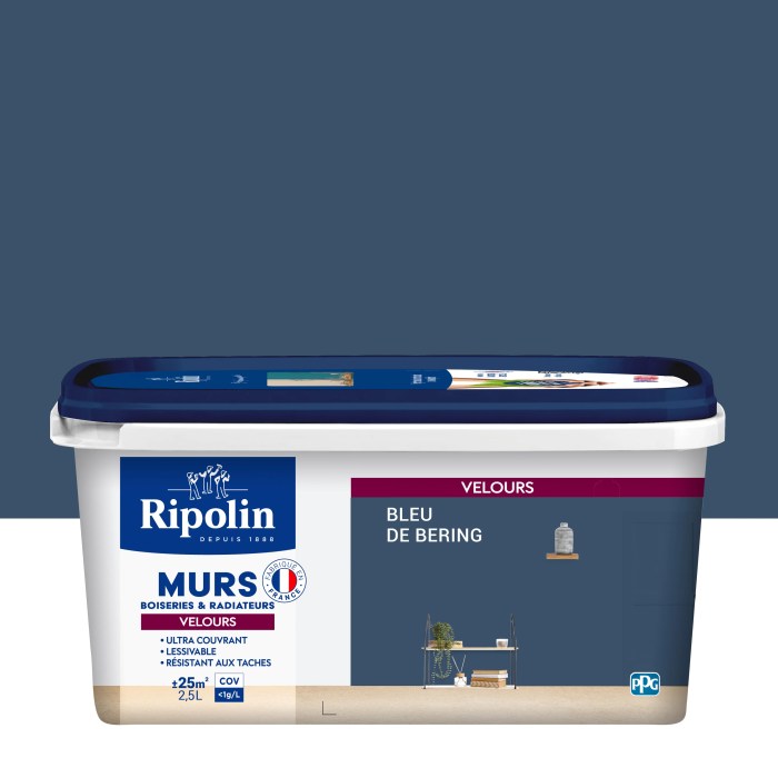 Peinture nuancier tollens murale seigneurie couleurs castorama leroy merlin chromatic brico choix clair ripolin sikkens bois luxens grise teinte teintes