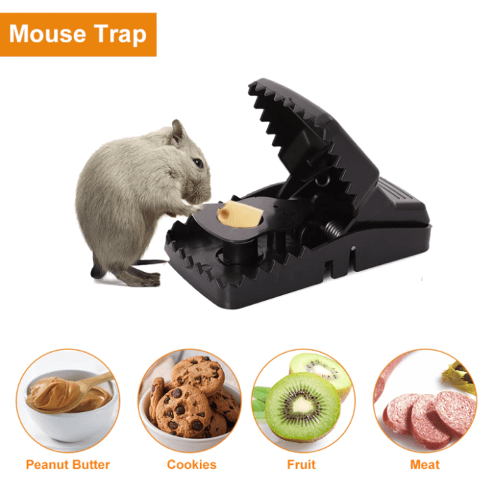 Mouse trap victor electronic mice electric traps box rat amazon rodent zapper control walmart indoor killer pest lowes help work