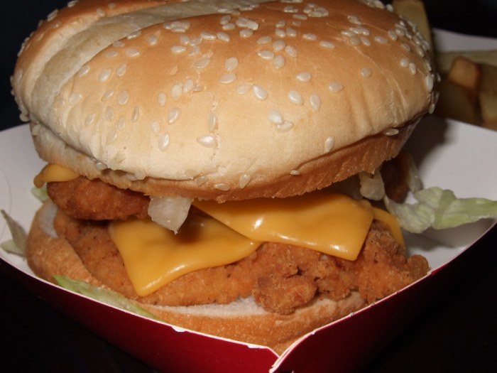 Kfc double crunch