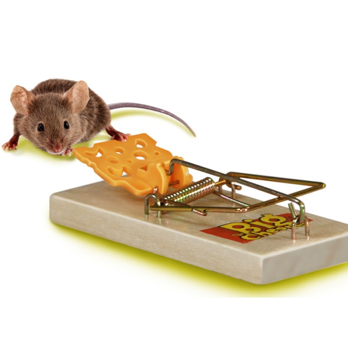 Piege souris leroy merlin