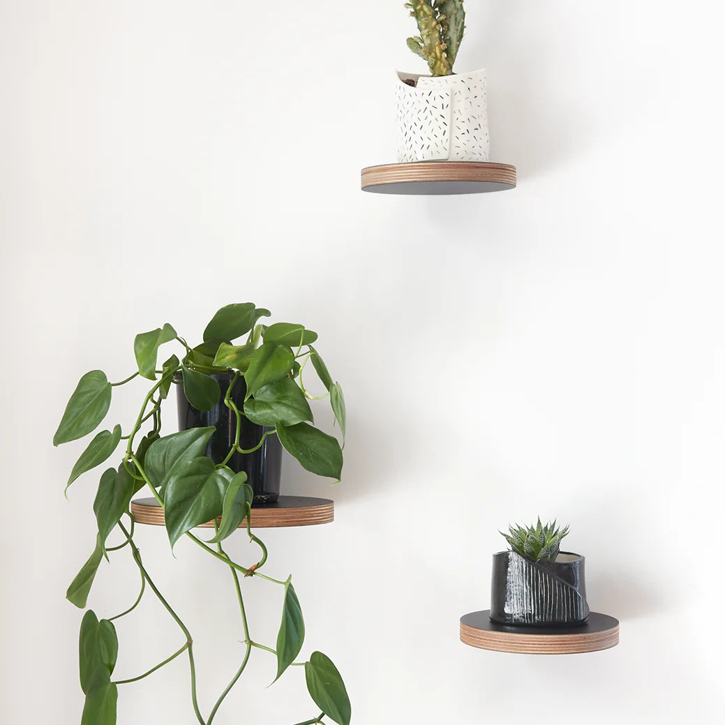 Etagere plante leroy merlin