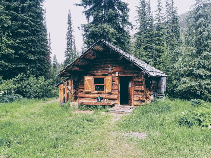 Cabin fireplace blizzard ambience sounds wood study relaxation sleep heavy