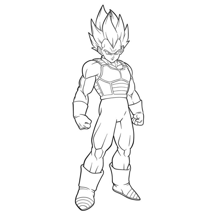 Dessin vegeta facile