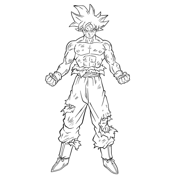 Dessin sangoku a imprimer