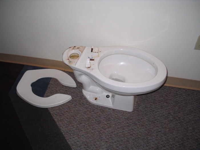 Toilet broken seat lid