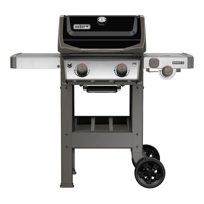 Barbecue castorama weber charbon