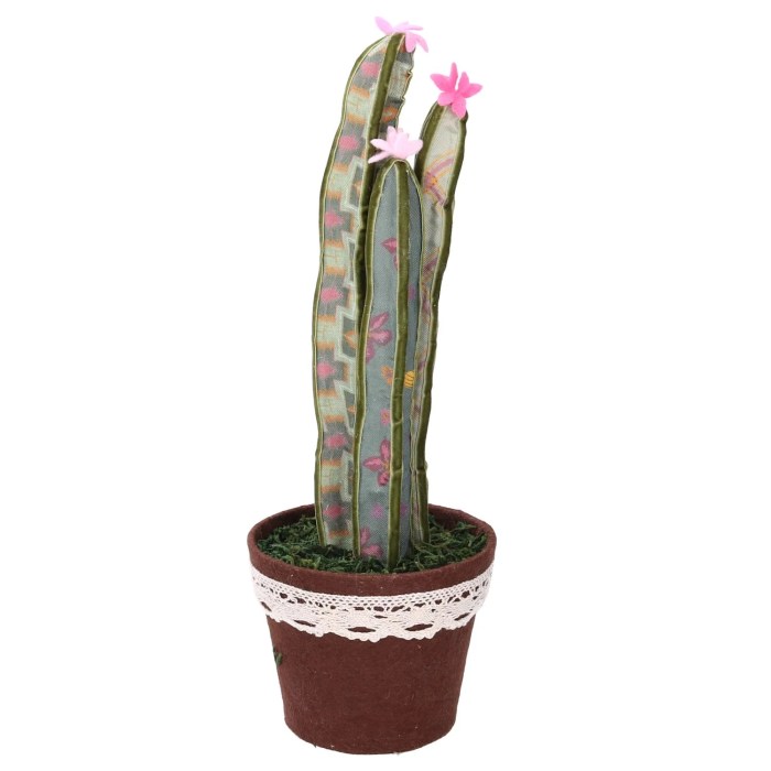 Leroy merlin cactus