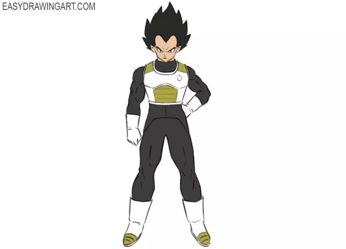 Dessin vegeta facile