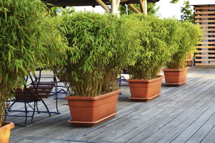 Bamboo planter planters barrel double urbano pots cane