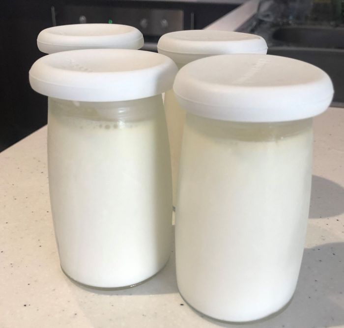 Jars yoghurt thermomix