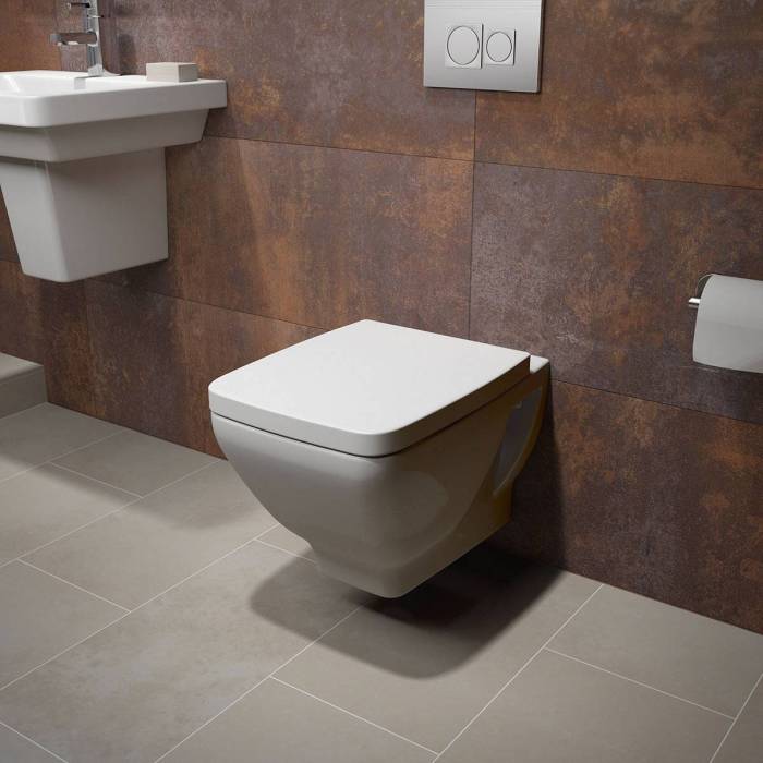 Rimless toilets imex rim