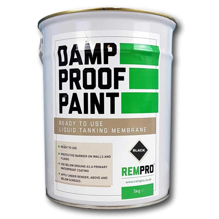 Peinture anti salpetre leroy merlin