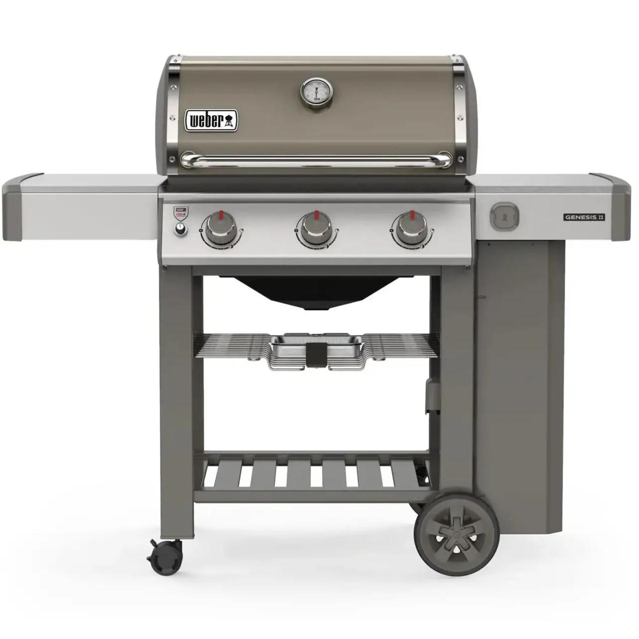 Charbon barbecue castorama weber carrefour electrique impressionnant