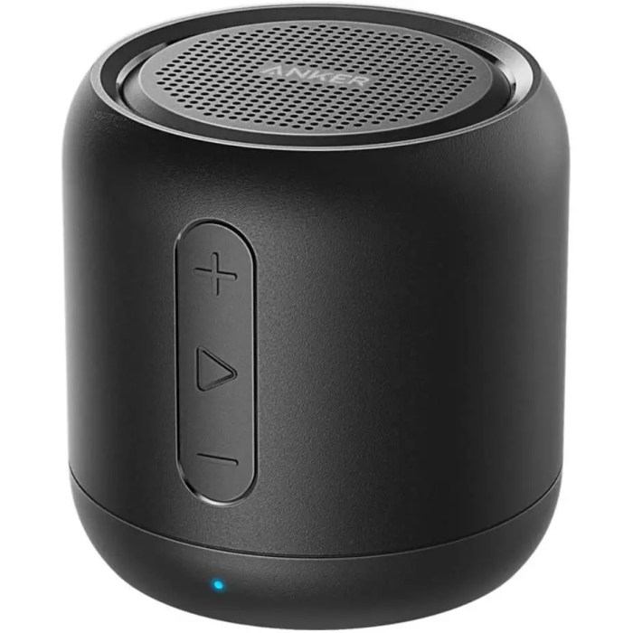 Enceinte portable puissante