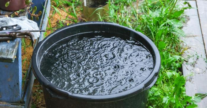 Water rain collecting rainwater states illegal harvesting