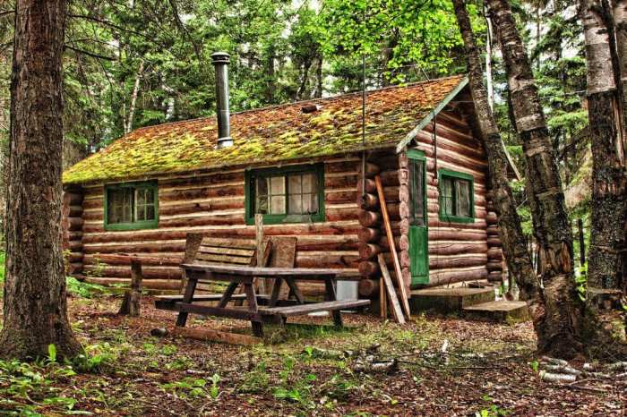 Cabane enfant en bois