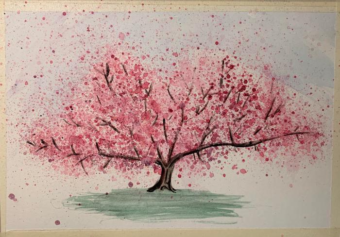 Blossom cherry sakura draw step beginners