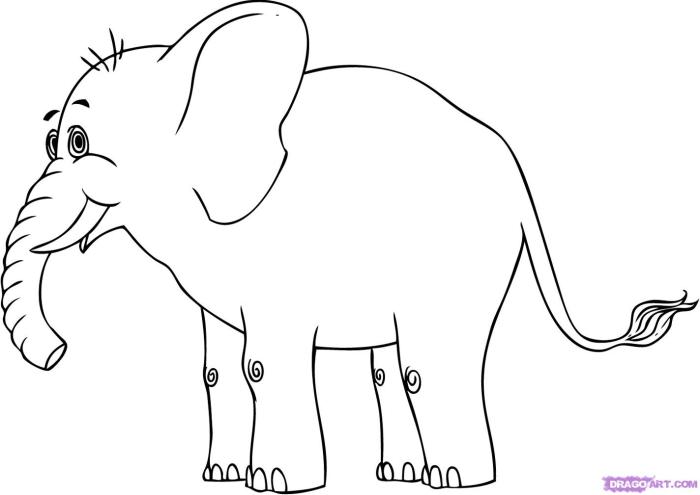 Dessin elephant couleur