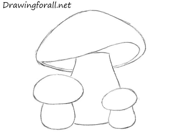 Comment dessiner un champignon